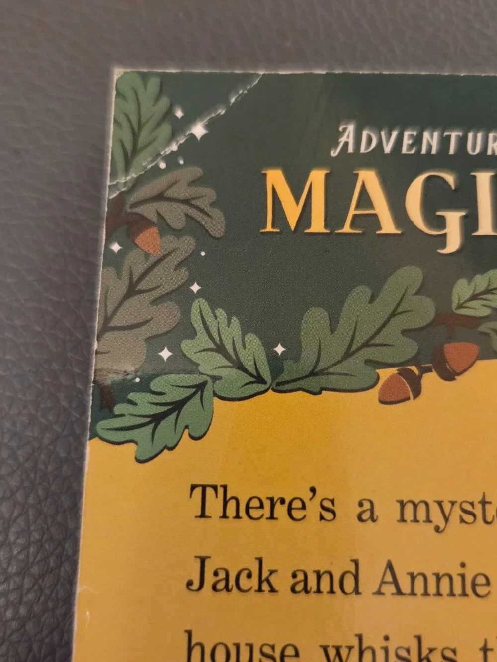 CHILDREN'S BOOKS, MAGIC TREEHOUSE, #1 NY TIMES BESTSELLING SERIES, AGES 6-9